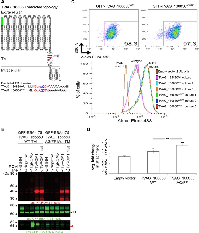 Fig 6