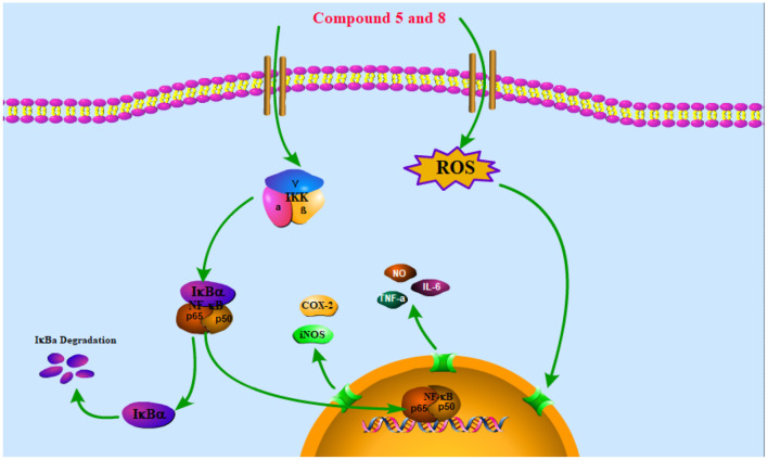 Figure 5