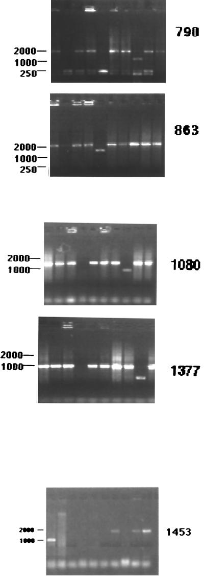 FIG. 5