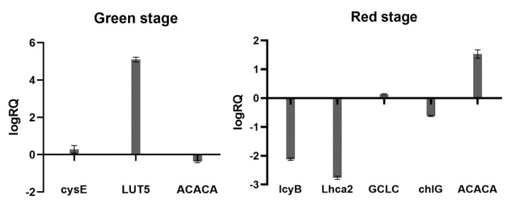 Figure 12