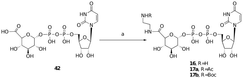 Scheme 3