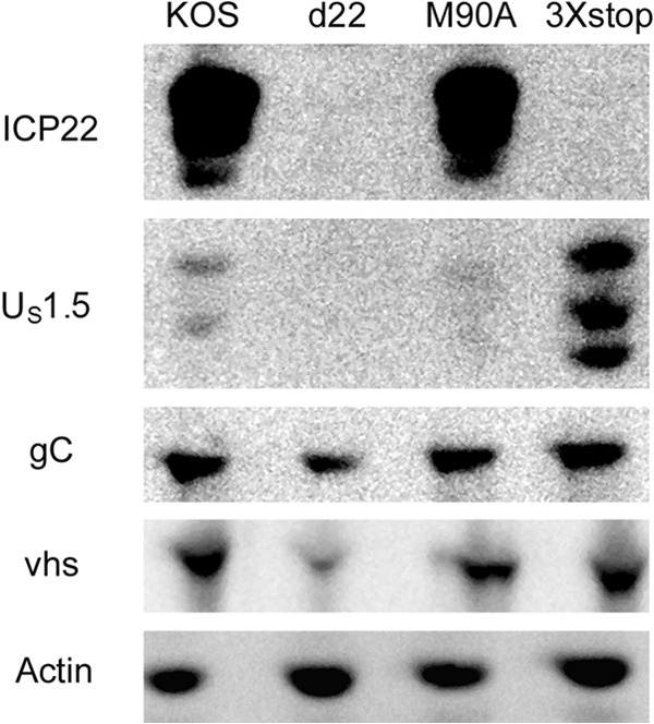 Fig 6