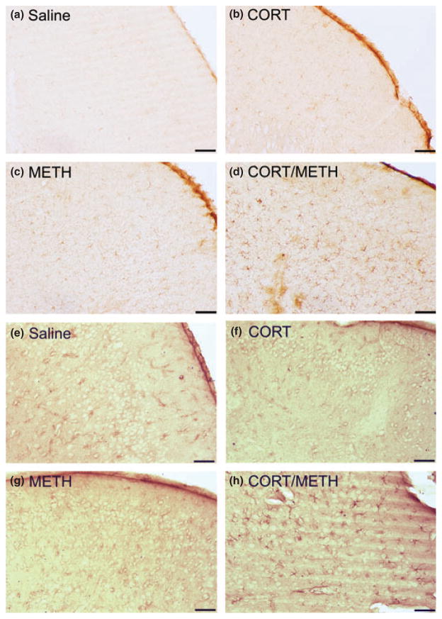 Fig. 9