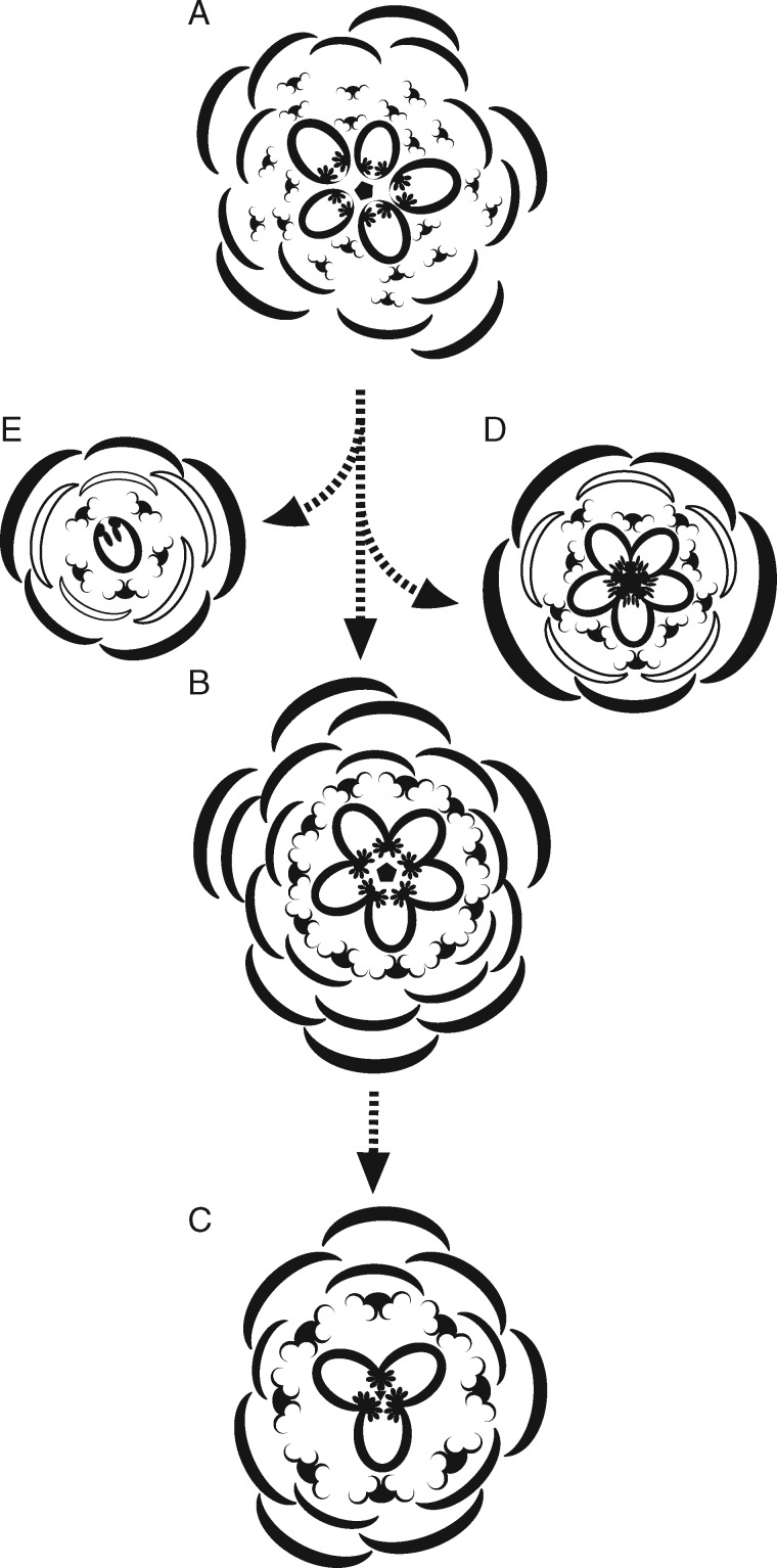 Fig. 7