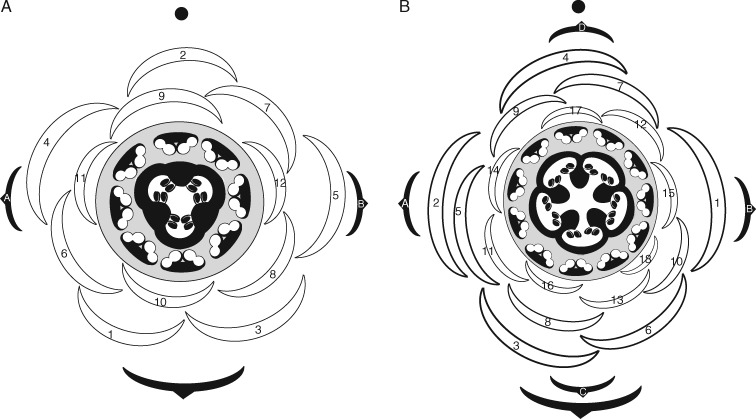 Fig. 6