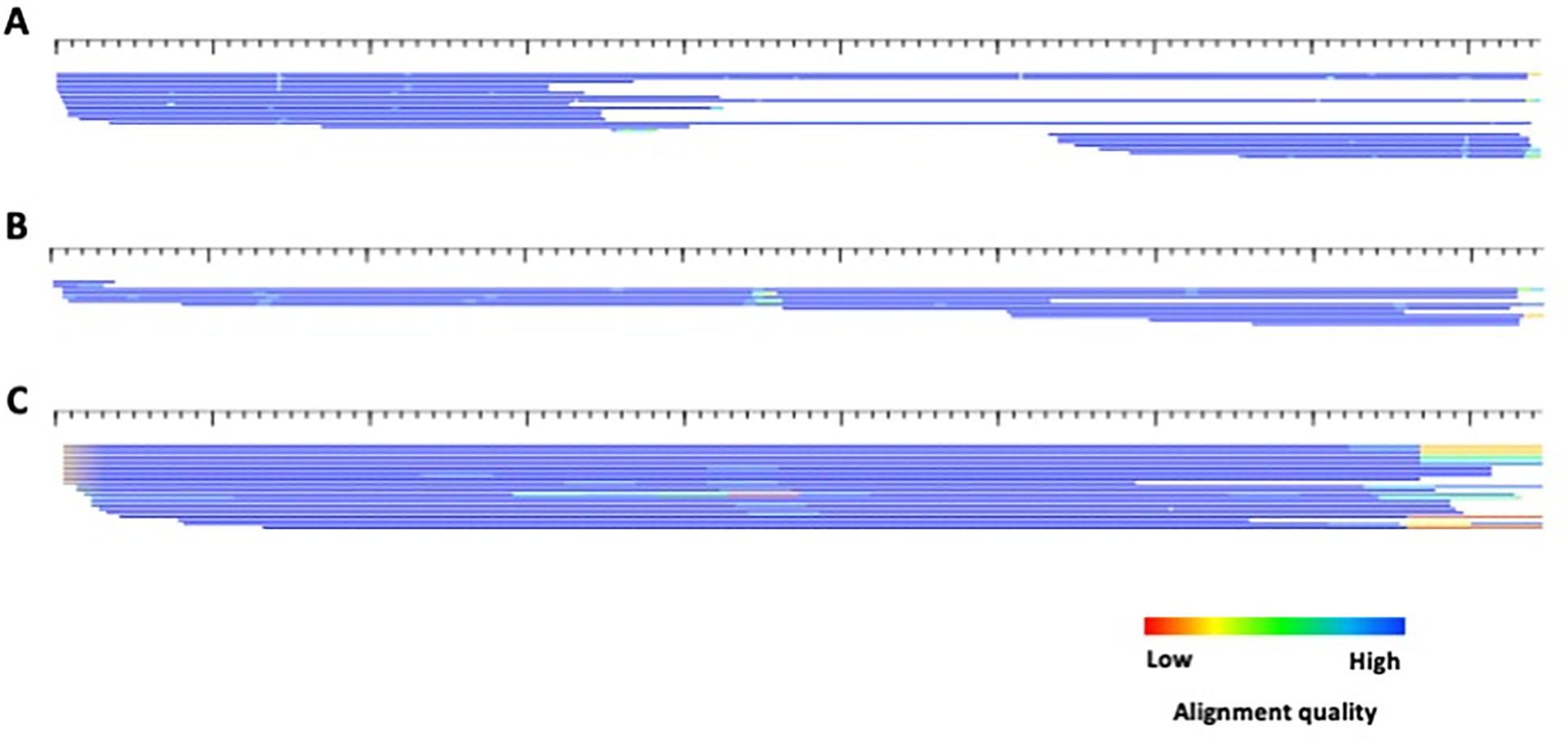 Figure 11.