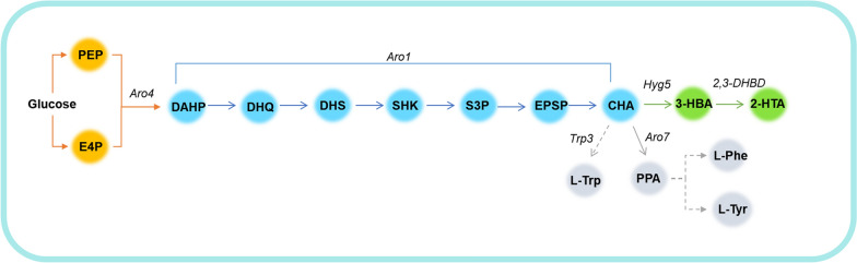 Fig. 8