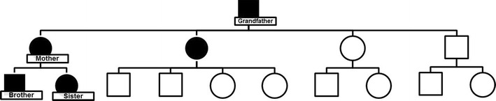 Fig. 1
