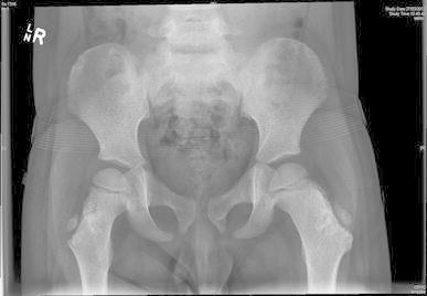 Fig. 7