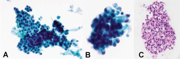 FIGURE 2