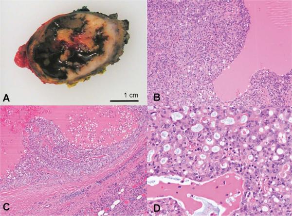 FIGURE 3