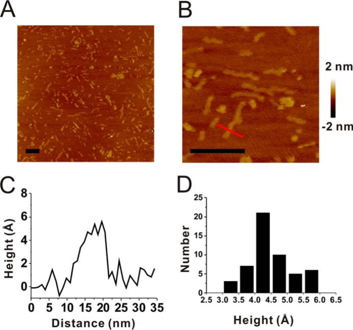 FIGURE 4.