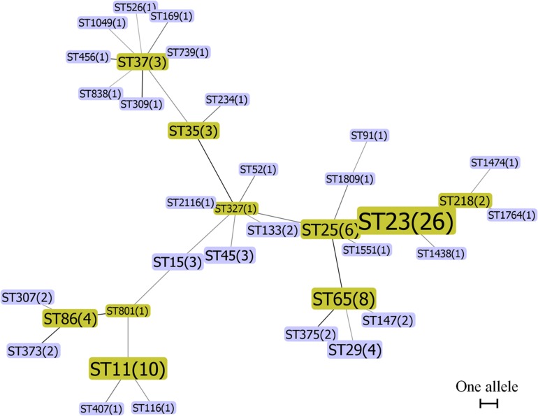 FIGURE 1