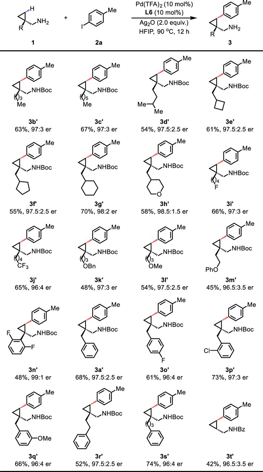 graphic file with name nihms-1639555-t0004.jpg