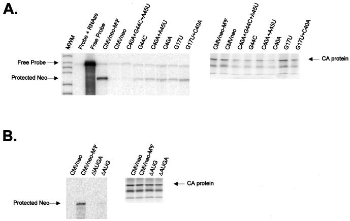 FIG. 5