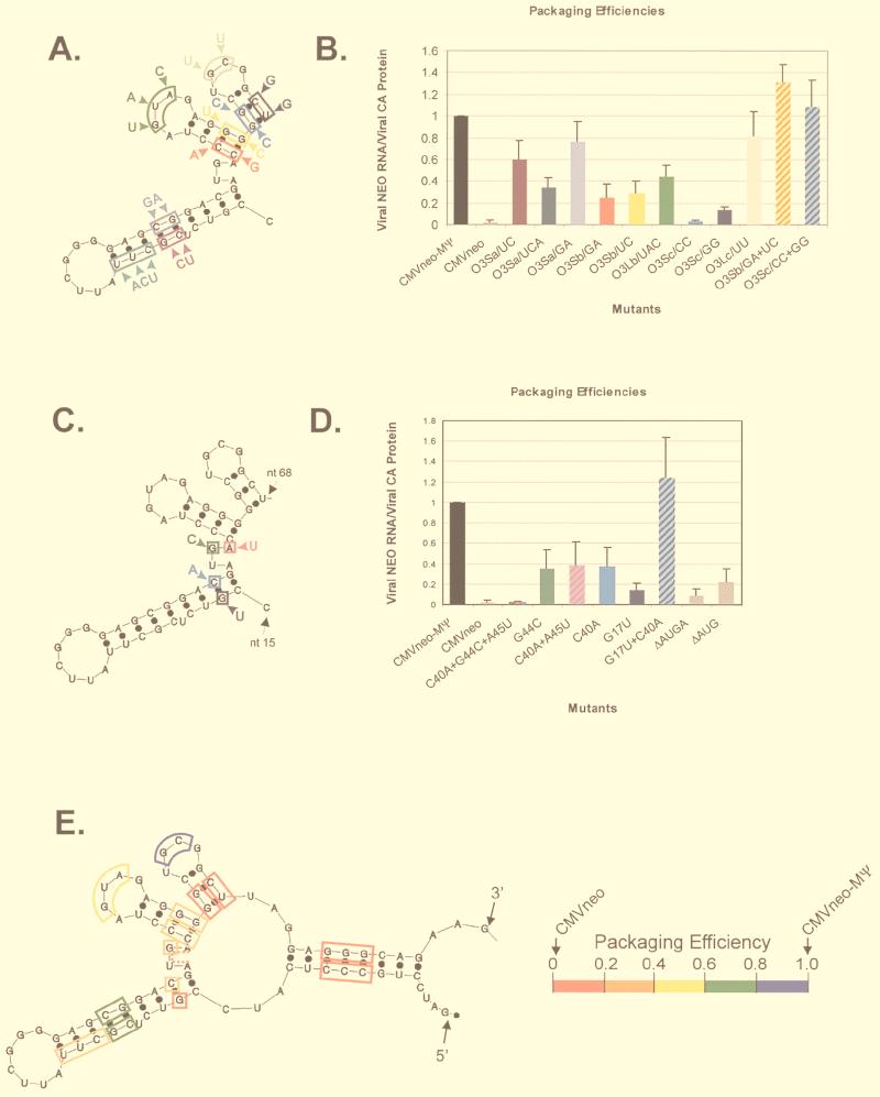 FIG. 3