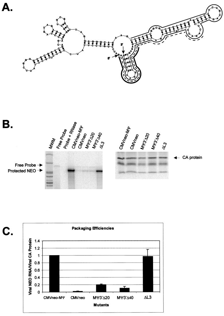 FIG. 6