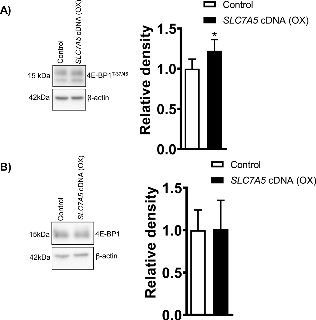 Figure 4: