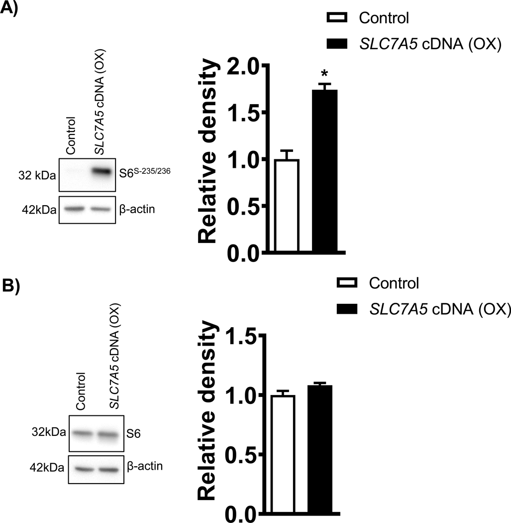 Figure 3: