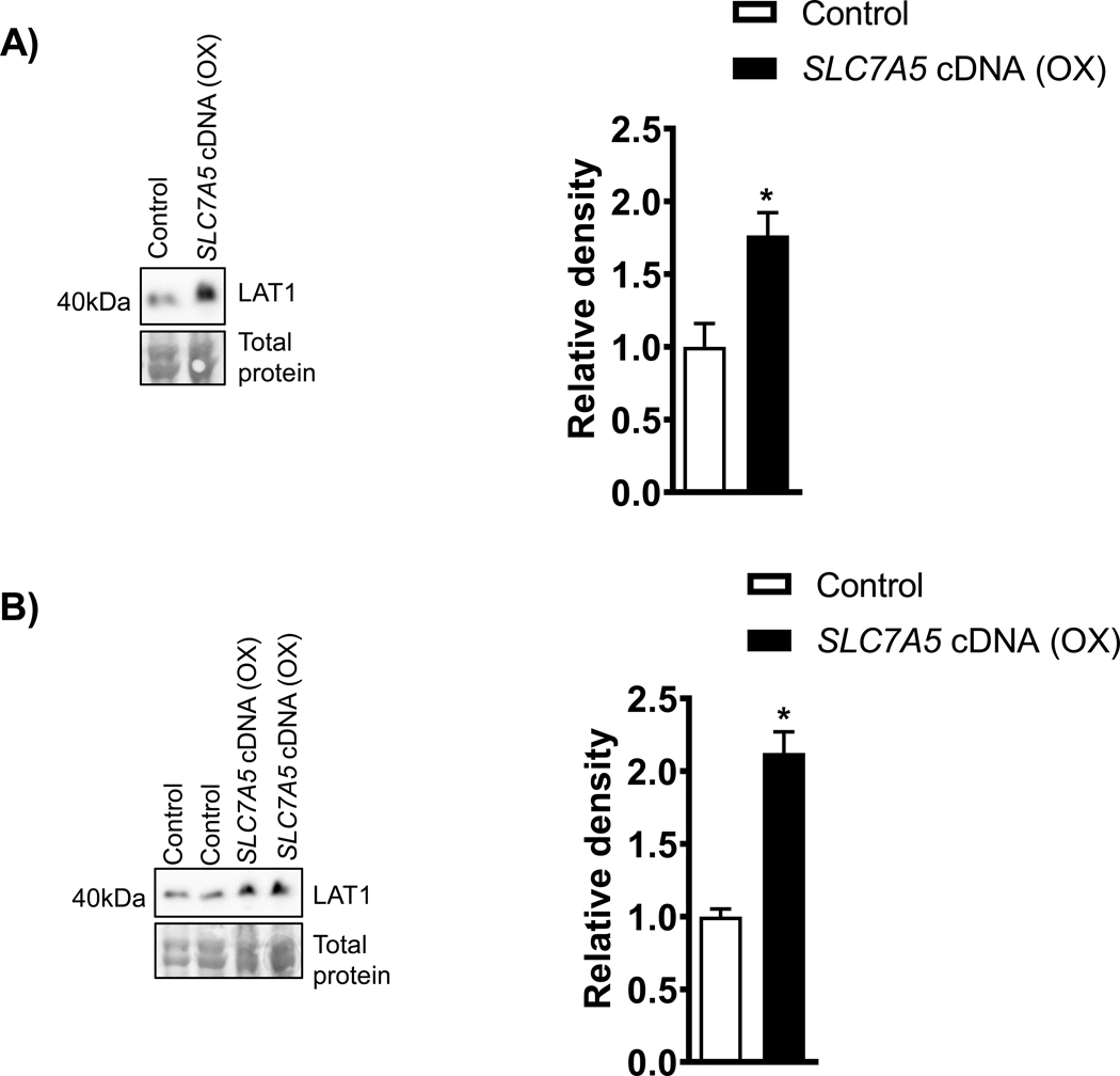 Figure 1: