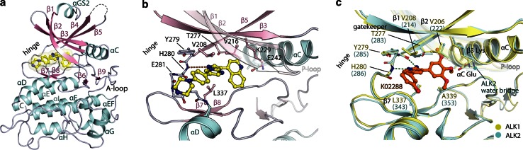 Fig. 1