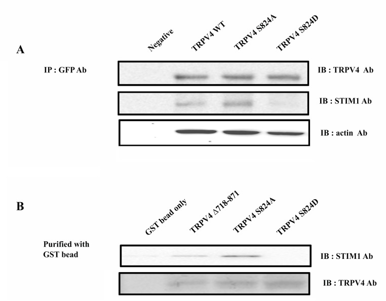 Fig. (2)