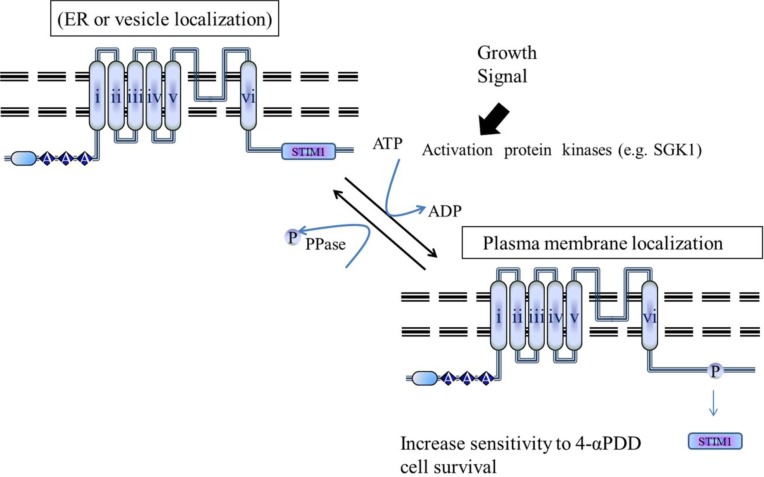 Fig. (5)