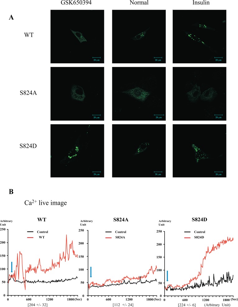 Fig. (4)