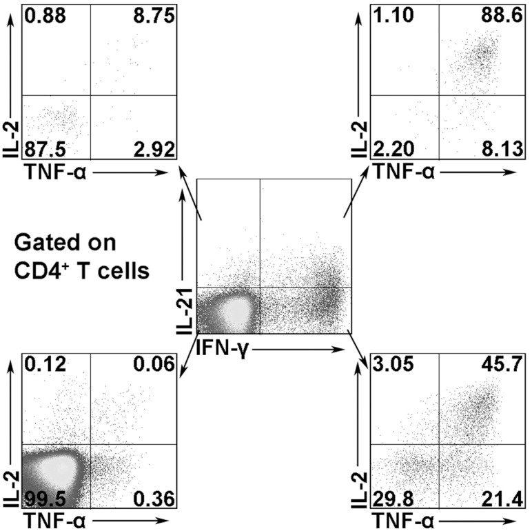 Fig 4