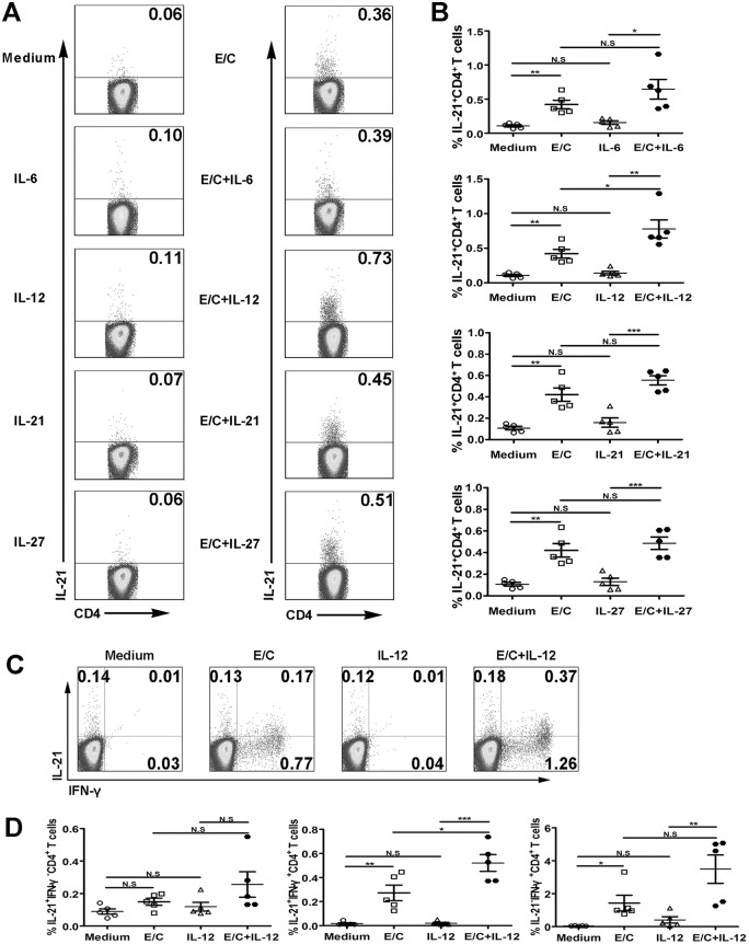 Fig 8