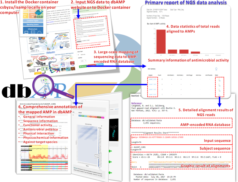 Figure 2.