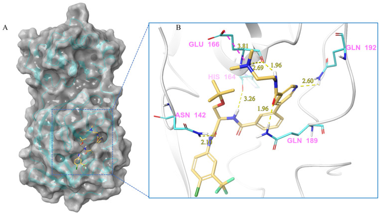 Figure 5