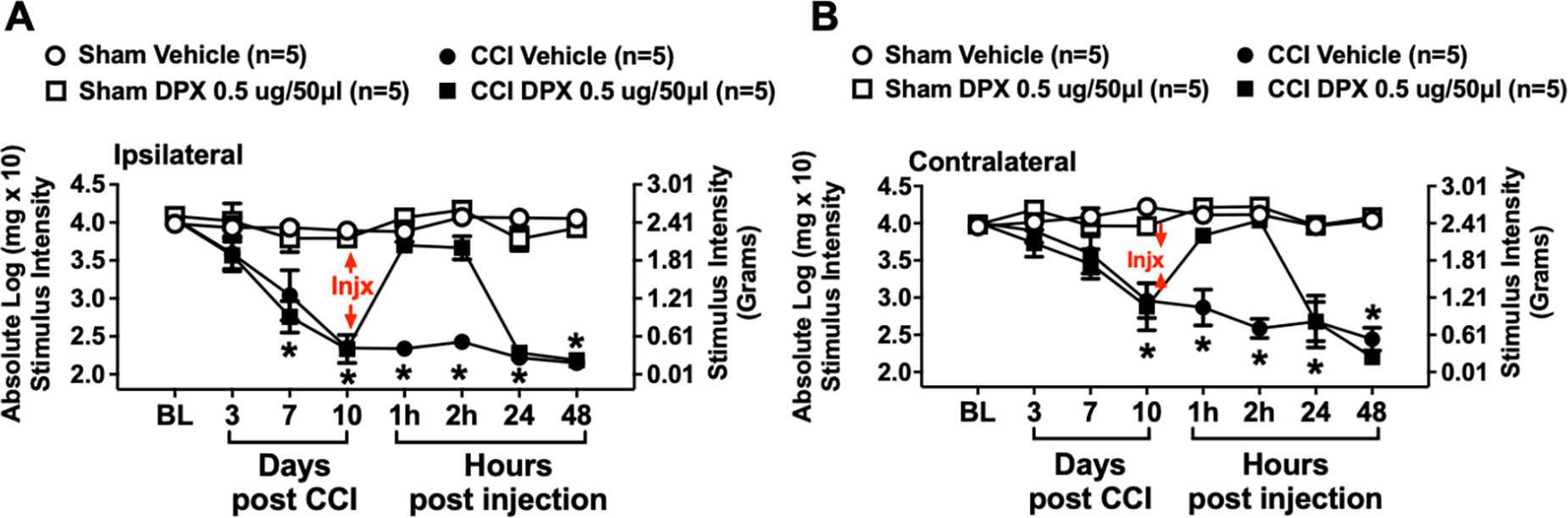 Figure 2: