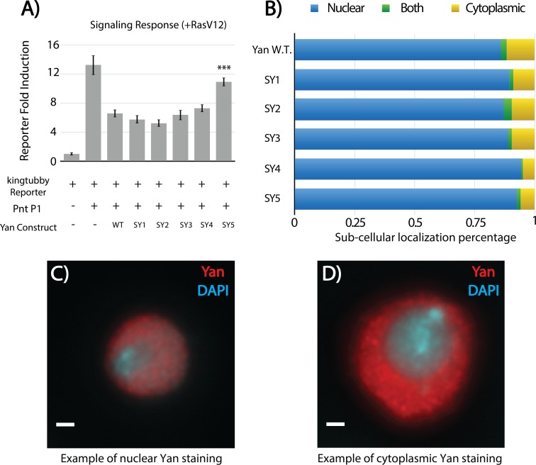 Figure 4—figure supplement 2.