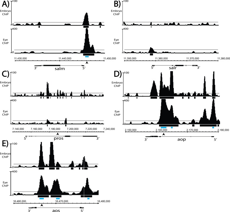 Figure 7—figure supplement 1.