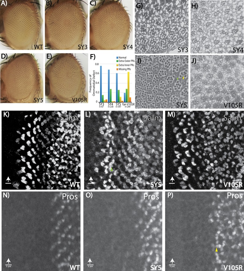 Figure 6.