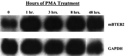 FIG. 9