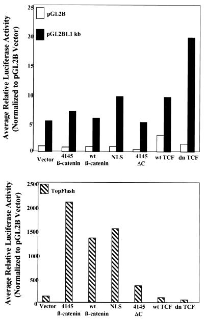 FIG. 6