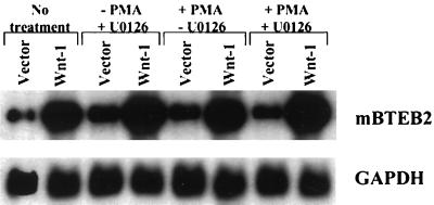 FIG. 8