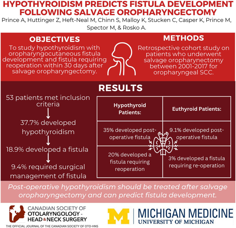 Graphical abstract