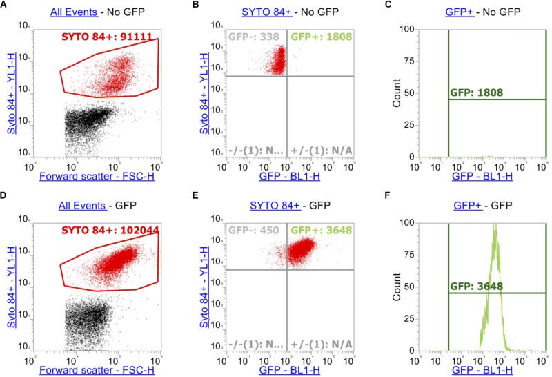 FIGURE 2