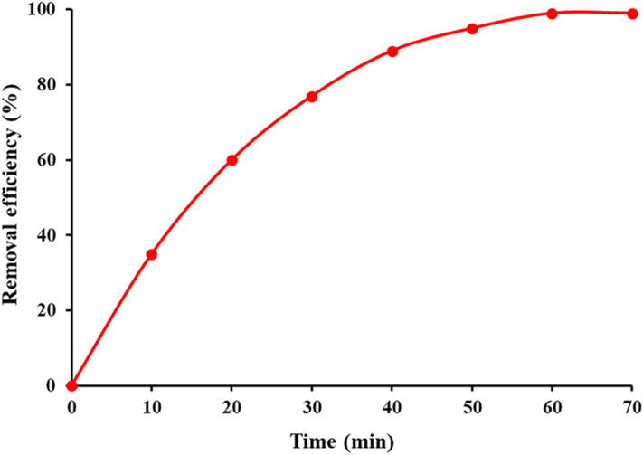 Figure 11