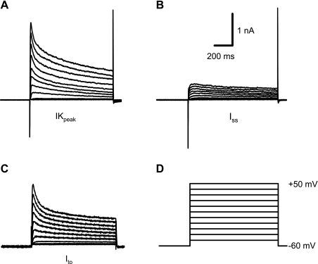 Fig. 5.