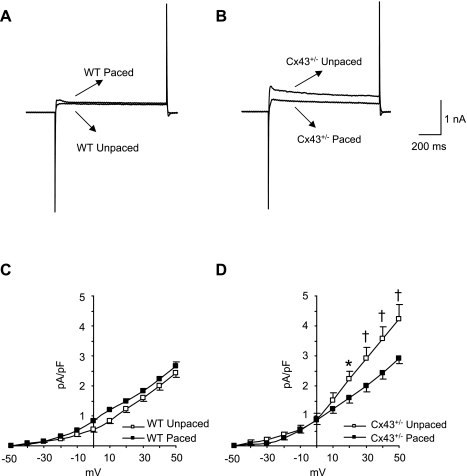 Fig. 8.