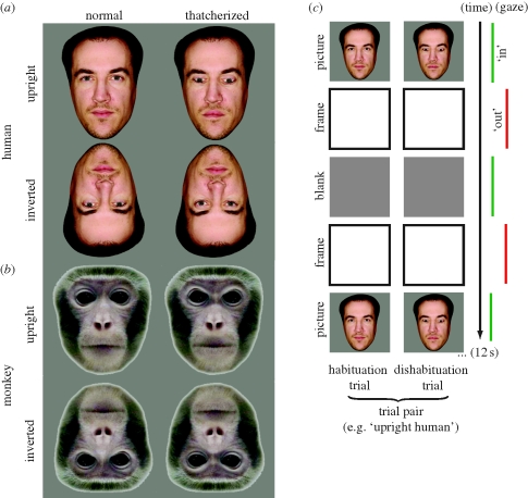 Figure 1.