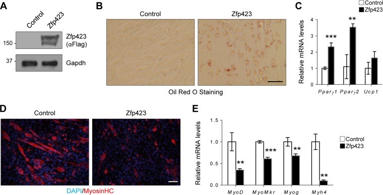 FIG 6