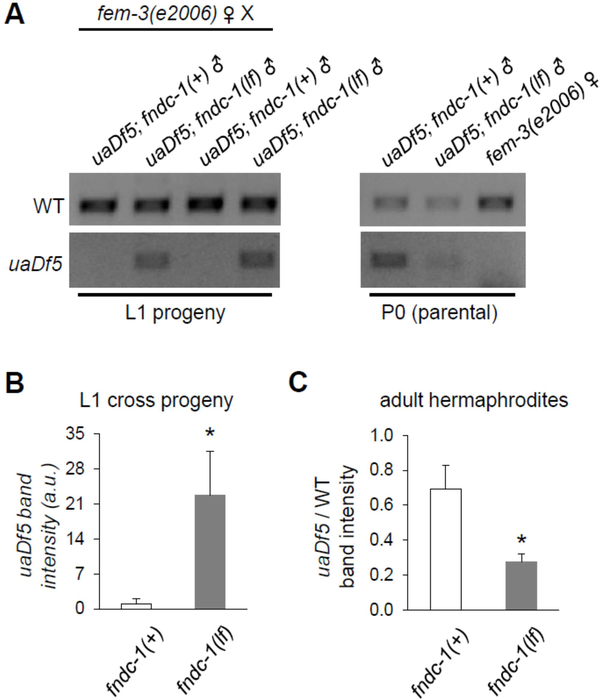 Figure 2 -