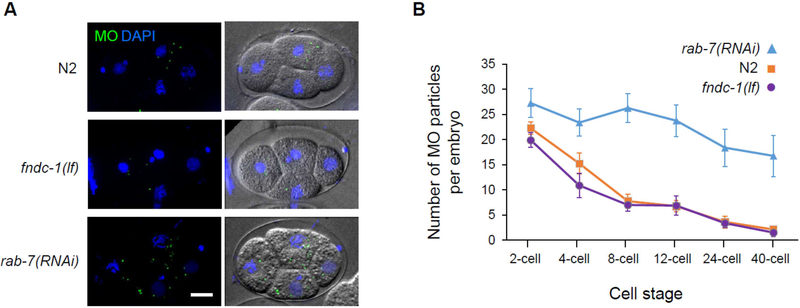 Figure 3 –