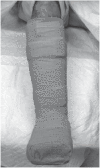 Figure 7b