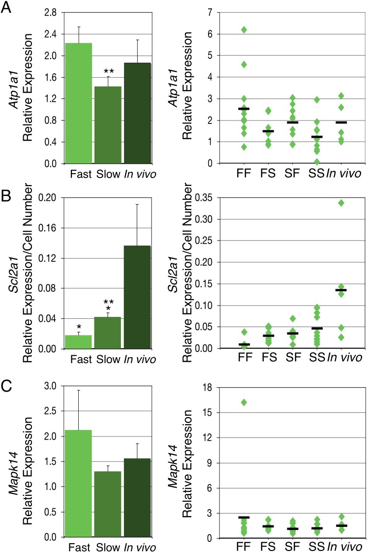 FIG. 7. 